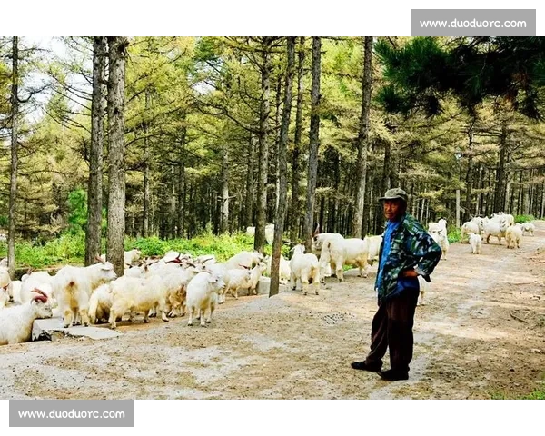 十一月的季节变奏与节日盛典：从秋韵到冬意的过渡与人文探析